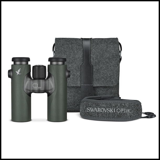 Swarovski CL Companion 8x30 verrekijker Groen + Northern Lights